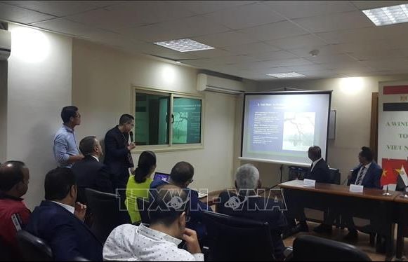 Việt Nam và Ai Cập thúc đẩy hợp tác kinh tế, đầu tư