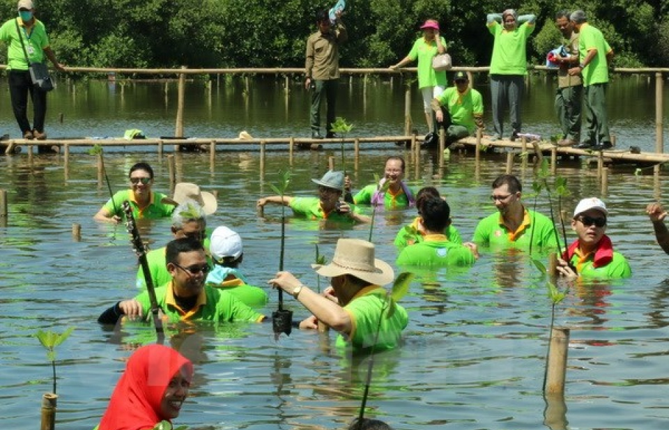 Ngày Trồng rừng ngập mặn ASEAN tại Indonesia
