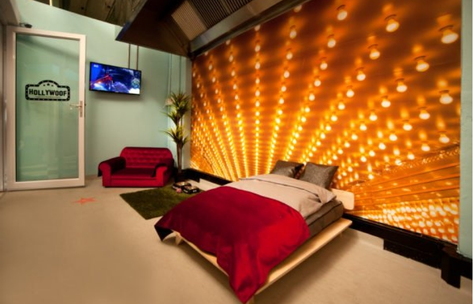 Khách sạn thú cưng lớn nhất thế giới "cháy phòng" tới tháng 1/2019