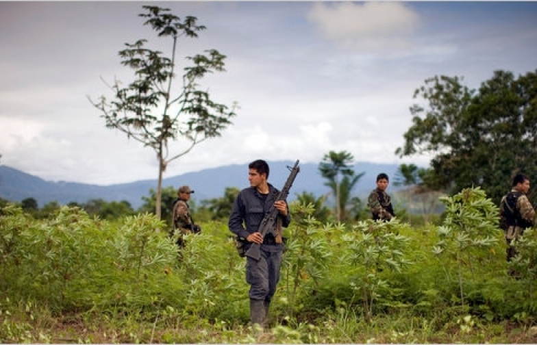 Gian nan cuộc chiến chống ma túy tại Peru