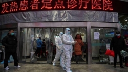 WHO sẽ phái nhóm điều tra nguồn gốc đại dịch Covid-19 tới Trung Quốc