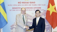 Việt Nam mong muốn Thụy Điển tăng cường chia sẻ kinh nghiệm trong nhiều lĩnh vực
