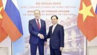 Bộ trưởng Ngoại giao Bùi Thanh Sơn hội đàm với Bộ trưởng Ngoại giao Nga Sergey Lavrov