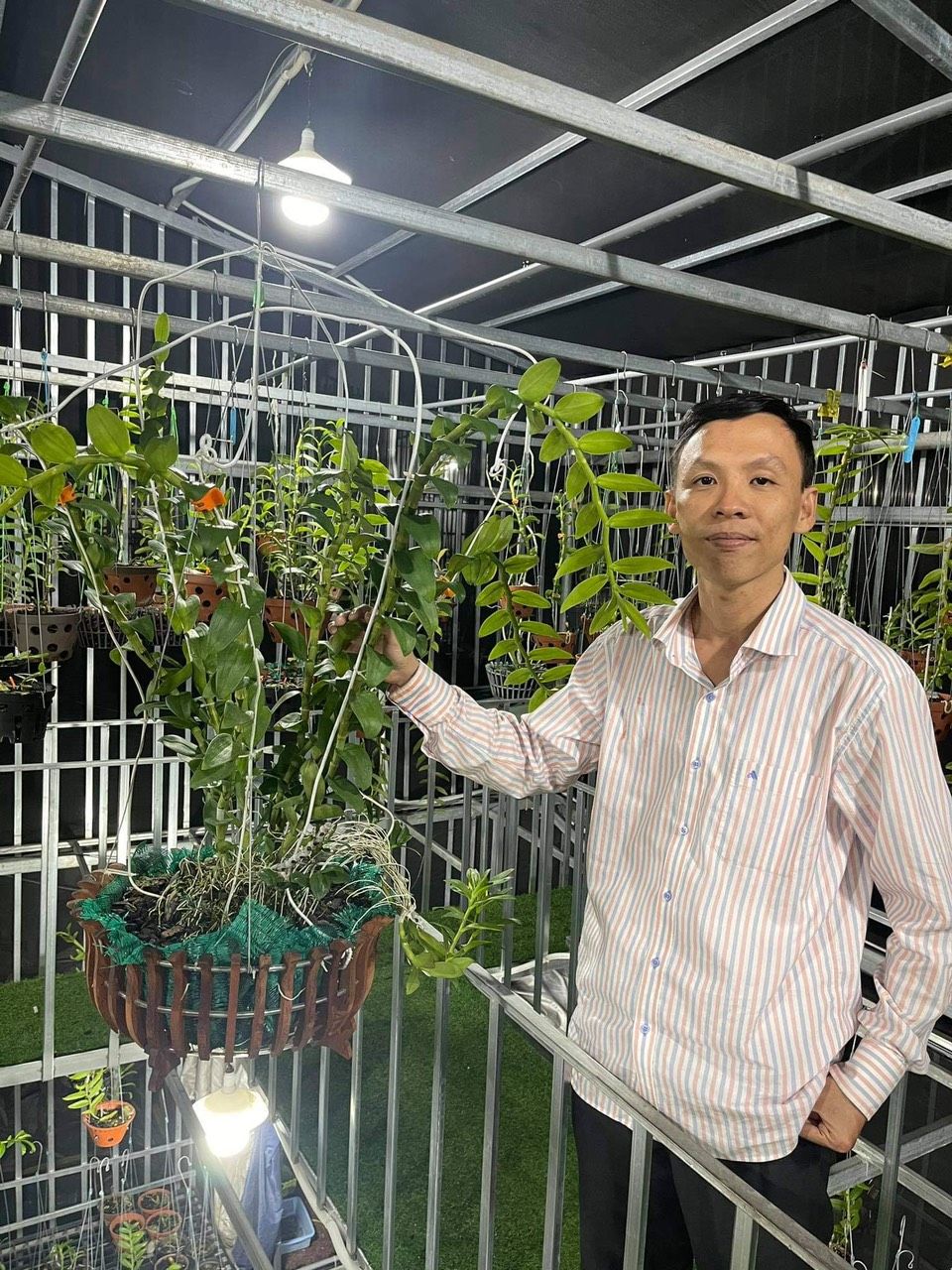 Nguyễn Văn Hiệp: đam mê cùng loài hoa ‘bất tử’ Nguyễn Văn Hiệp: đam mê cùng loài hoa ‘bất tử’