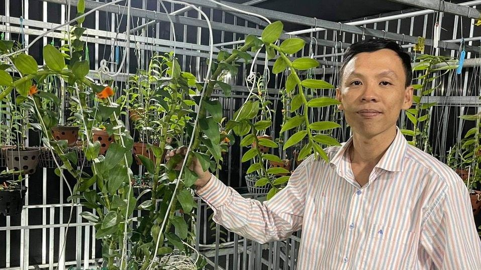 Nguyễn Văn Hiệp: đam mê cùng loài hoa ‘bất tử’