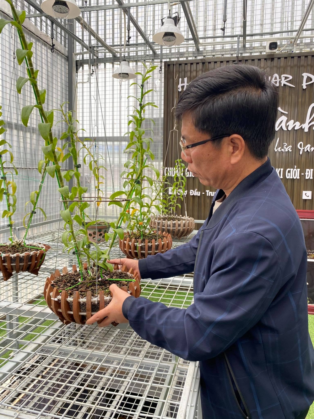 Lê Thành Dư: Xây dựng cơ nghiệp từ hoa phong lan Lê Thành Dư: Xây dựng cơ nghiệp từ hoa phong lan