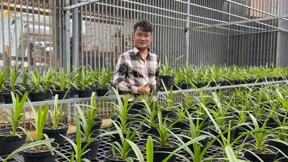 Đàm Rồng Nghệ: 8X bỏ kinh doanh, theo đuổi trồng hoa lan