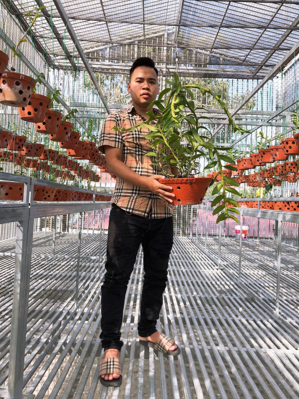 Nam Marboro và niềm vui tao nhã với hoa lan rừng Nam Marboro và niềm vui tao nhã với hoa lan rừng