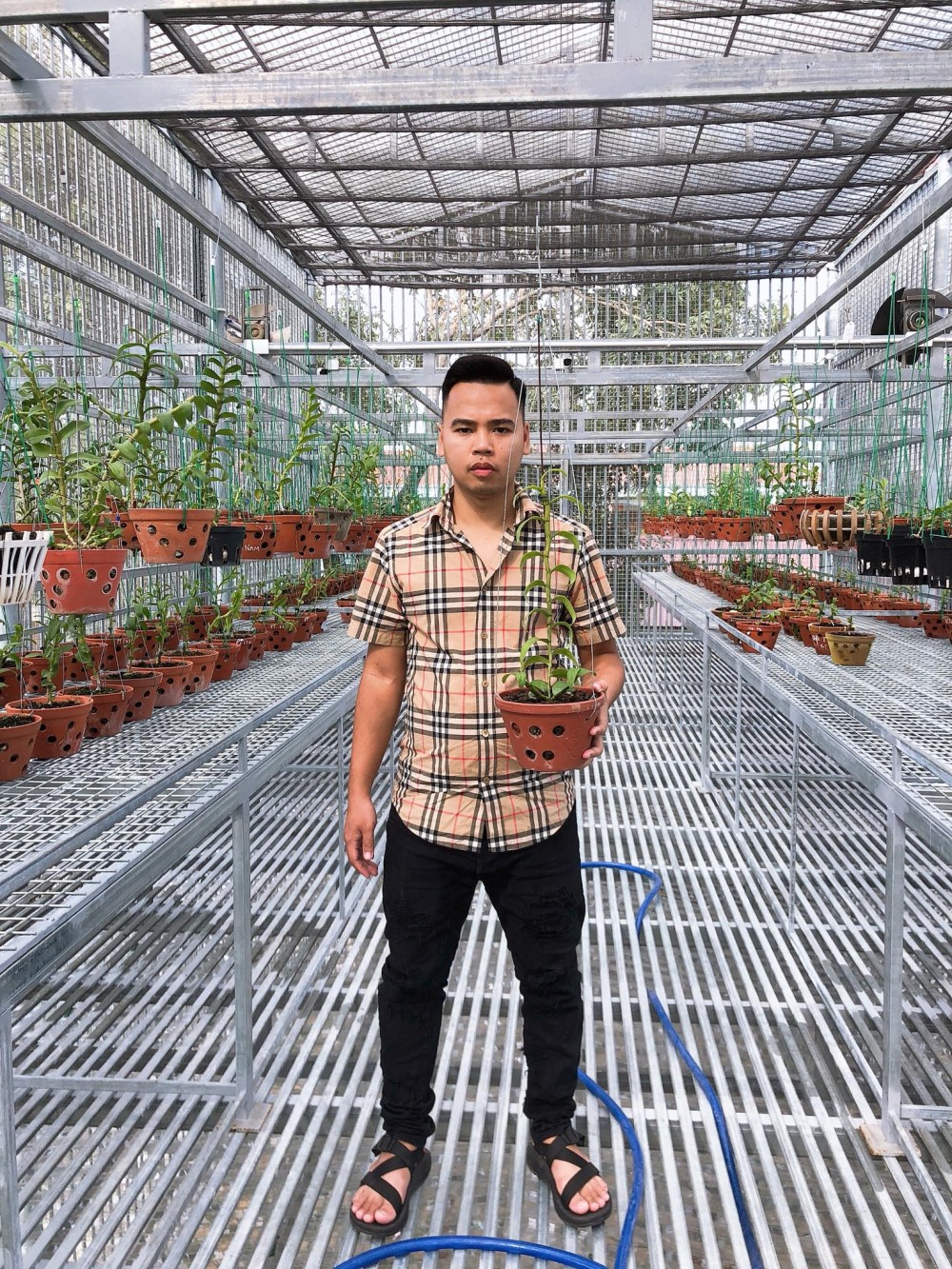 Nam Marboro và niềm vui tao nhã với hoa lan rừng