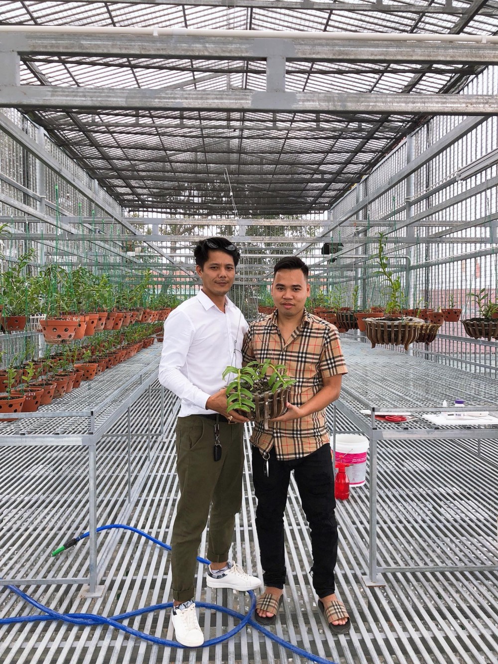 Nam Marboro và niềm vui tao nhã với hoa lan rừng Nam Marboro và niềm vui tao nhã với hoa lan rừng