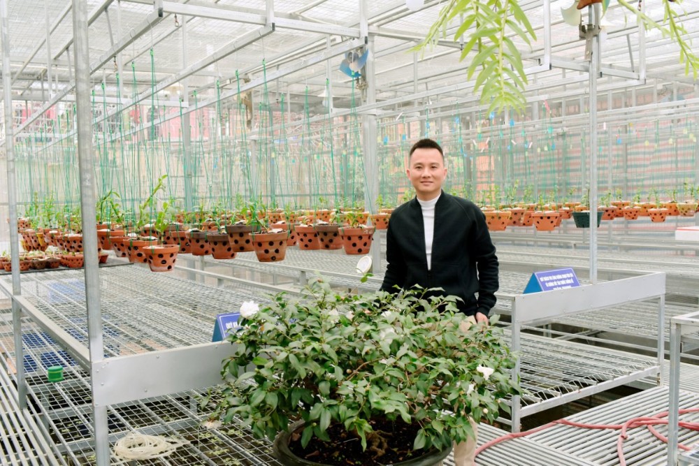 Công Hậu và chuyện tình với mộc hương Công Hậu và chuyện tình với mộc hương