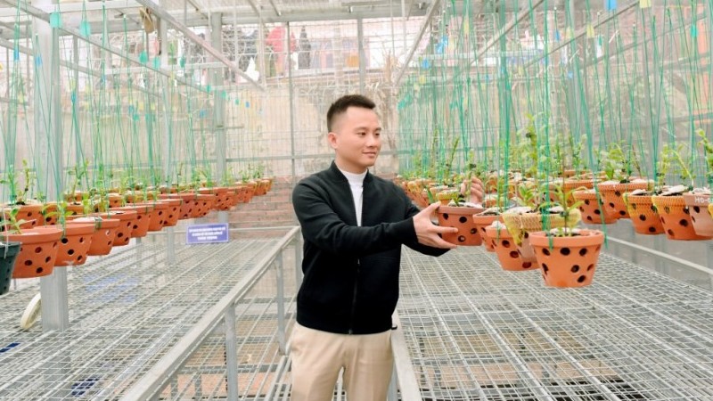 Công Hậu và chuyện tình với mộc hương