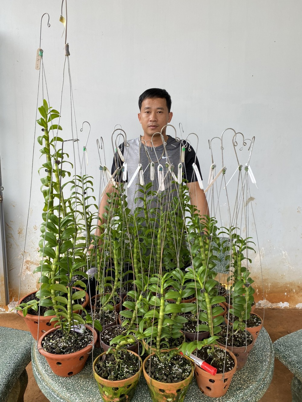 Phạm Thăng Bằng: Thầy giáo phố núi đam mê cháy bỏng với lan rừng Phạm Thăng Bằng: Thầy giáo phố núi đam mê cháy bỏng với lan rừng