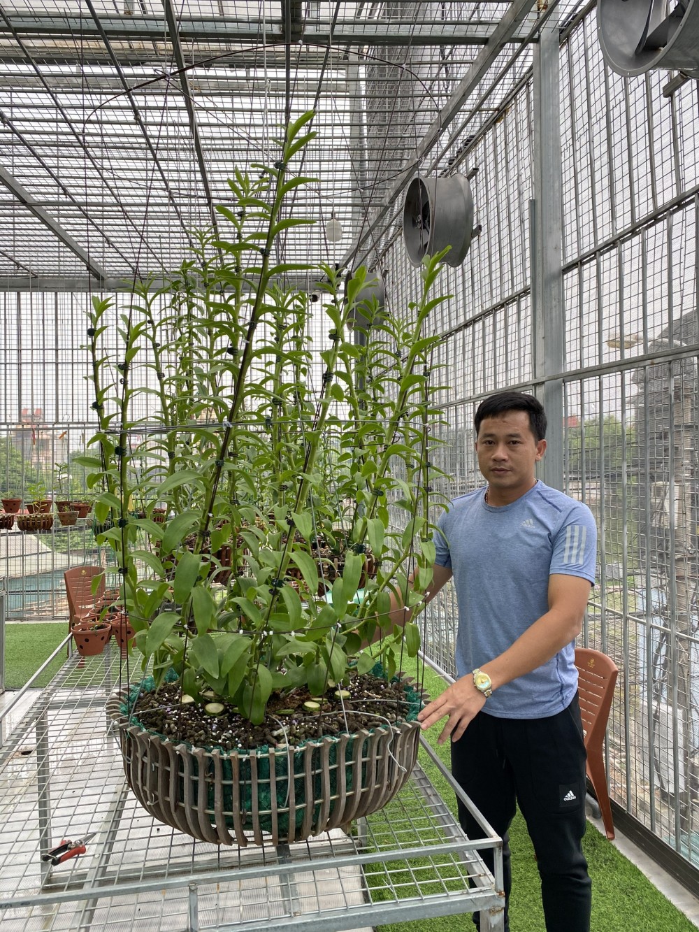 Phạm Thăng Bằng: Thầy giáo phố núi đam mê cháy bỏng với lan rừng Phạm Thăng Bằng: Thầy giáo phố núi đam mê cháy bỏng với lan rừng