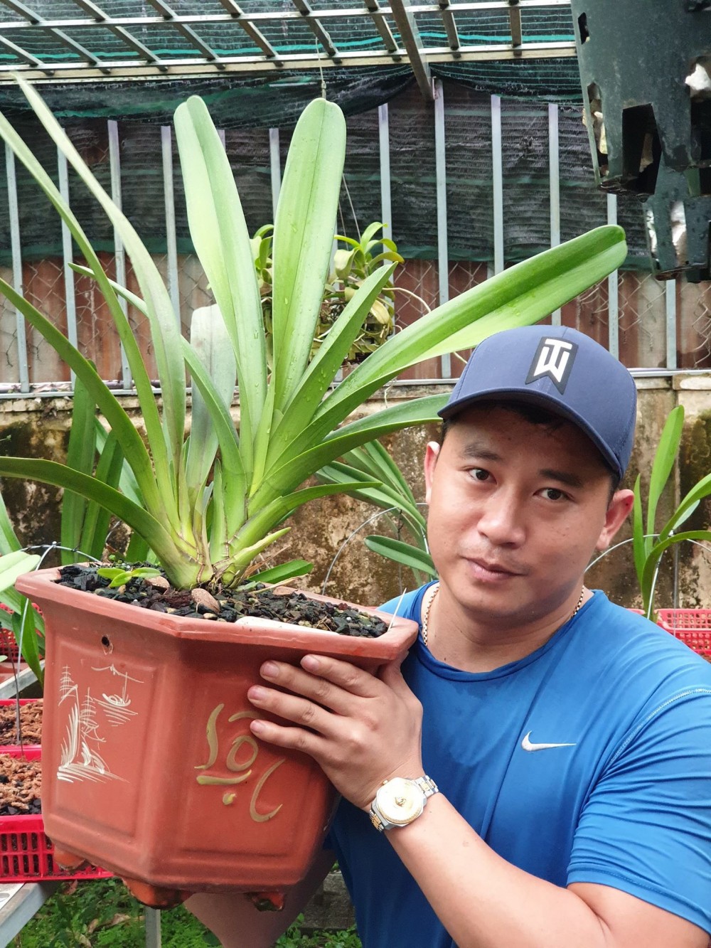 Phạm Thăng Bằng: Thầy giáo phố núi đam mê cháy bỏng với lan rừng Phạm Thăng Bằng: Thầy giáo phố núi đam mê cháy bỏng với lan rừng