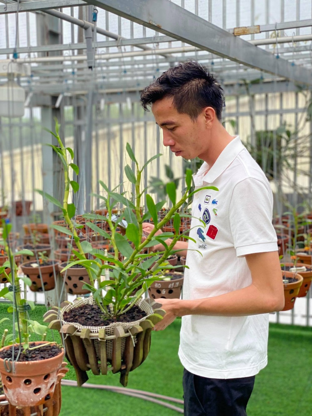 Chàng trai trẻ Lê Bảo Trân: 'Đam mê hoa lan đã ăn sâu vào máu tôi' Chàng trai trẻ Lê Bảo Trân: 'Đam mê hoa lan đã ăn sâu vào máu tôi'