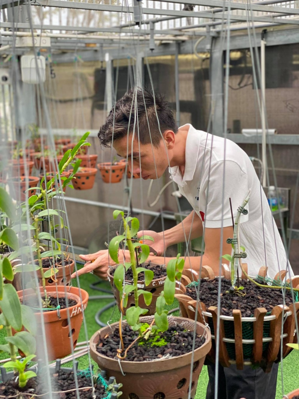 Chàng trai trẻ Lê Bảo Trân: 'Đam mê hoa lan đã ăn sâu vào máu tôi' Chàng trai trẻ Lê Bảo Trân: 'Đam mê hoa lan đã ăn sâu vào máu tôi'