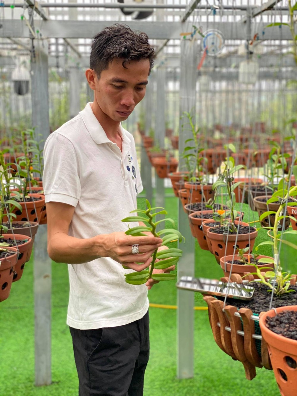 Chàng trai trẻ Lê Bảo Trân: 'Đam mê hoa lan đã ăn sâu vào máu tôi' Chàng trai trẻ Lê Bảo Trân: 'Đam mê hoa lan đã ăn sâu vào máu tôi'