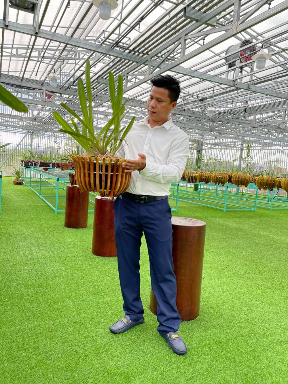 Nguyễn Diên Trung lên tiếng về giá trị thật của dòng lan đột biến Nguyễn Diên Trung lên tiếng về giá trị thật của dòng lan đột biến