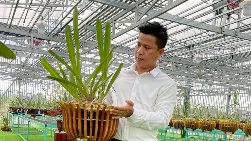 Nguyễn Diên Trung lên tiếng về giá trị thật của dòng lan đột biến