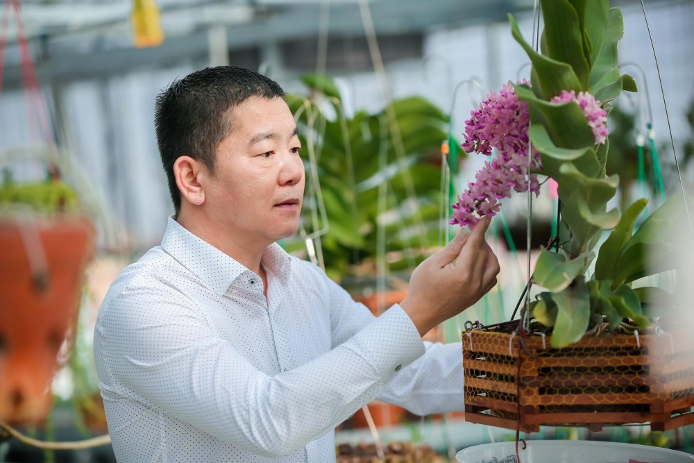 Doanh nhân Trần Ngọc Hà chia sẻ kinh nghiệm trồng hoa lan thành công Doanh nhân Trần Ngọc Hà chia sẻ kinh nghiệm trồng hoa lan thành công