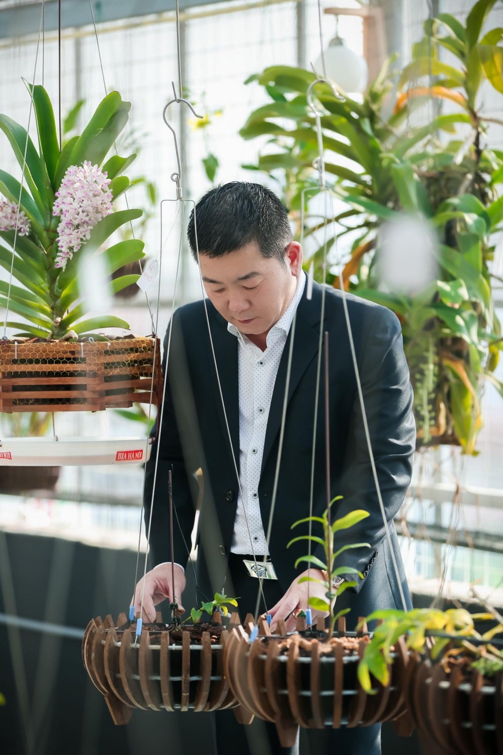 Doanh nhân Trần Ngọc Hà chia sẻ kinh nghiệm trồng hoa lan thành công Doanh nhân Trần Ngọc Hà chia sẻ kinh nghiệm trồng hoa lan thành công