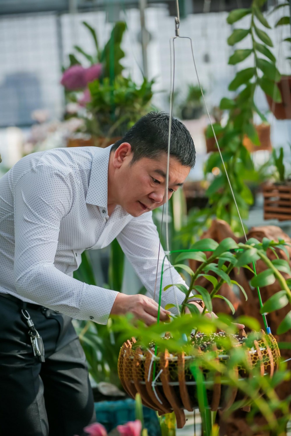 Doanh nhân Trần Ngọc Hà chia sẻ kinh nghiệm trồng hoa lan thành công Doanh nhân Trần Ngọc Hà chia sẻ kinh nghiệm trồng hoa lan thành công