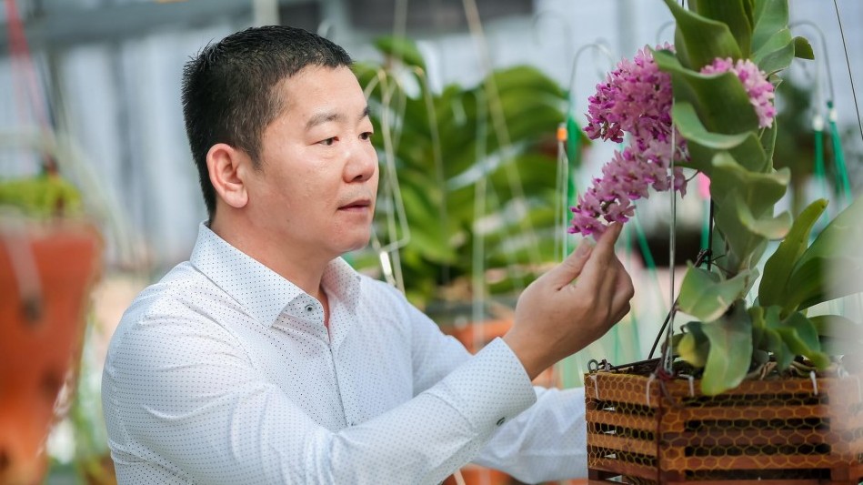 Doanh nhân Trần Ngọc Hà chia sẻ kinh nghiệm trồng hoa lan thành công
