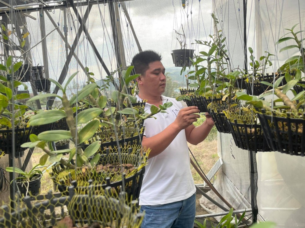 Lê Văn Nam: Chủ nhân trẻ của vườn lan khủng Lê Văn Nam: Chủ nhân trẻ của vườn lan khủng