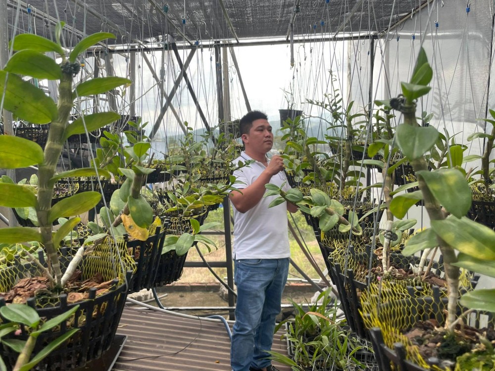 Lê Văn Nam: Chủ nhân trẻ của vườn lan khủng Lê Văn Nam: Chủ nhân trẻ của vườn lan khủng