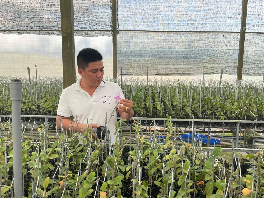 Lê Văn Nam: Chủ nhân trẻ của vườn lan khủng Lê Văn Nam: Chủ nhân trẻ của vườn lan khủng