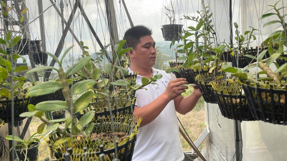 Lê Văn Nam: Chủ nhân trẻ của vườn lan khủng