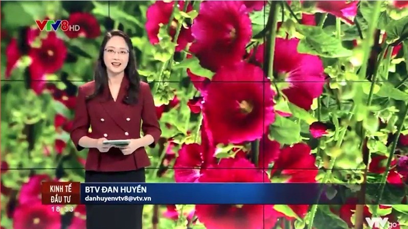 Trưng bày cây cảnh - thú vui tao nhã của người Việt Nam ngày Tết