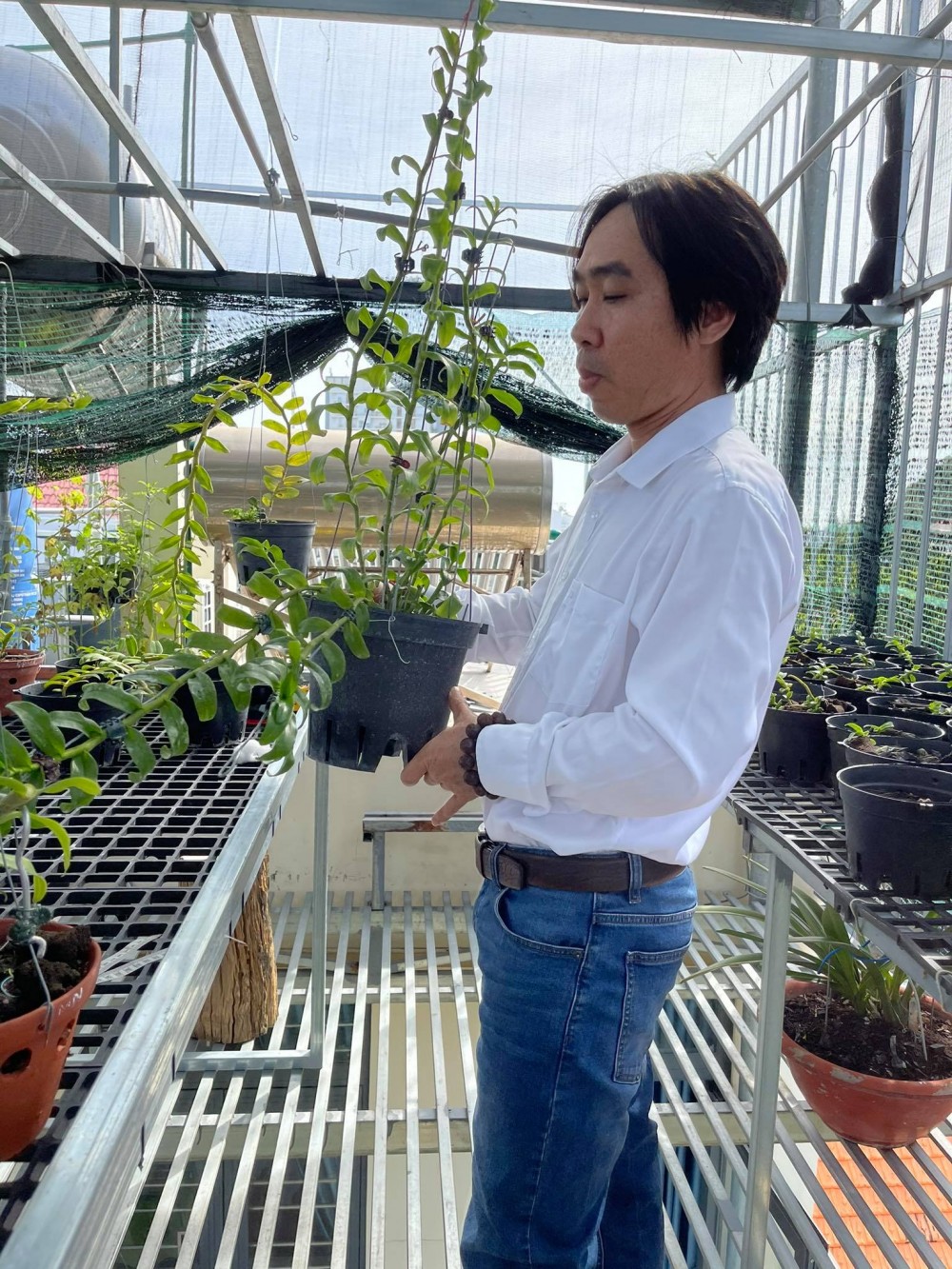 Nguyễn Huy Bình: Chủ nhân vườn lan 'khủng' nhiều người ngưỡng mộ Nguyễn Huy Bình: Chủ nhân vườn lan 'khủng' nhiều người ngưỡng mộ