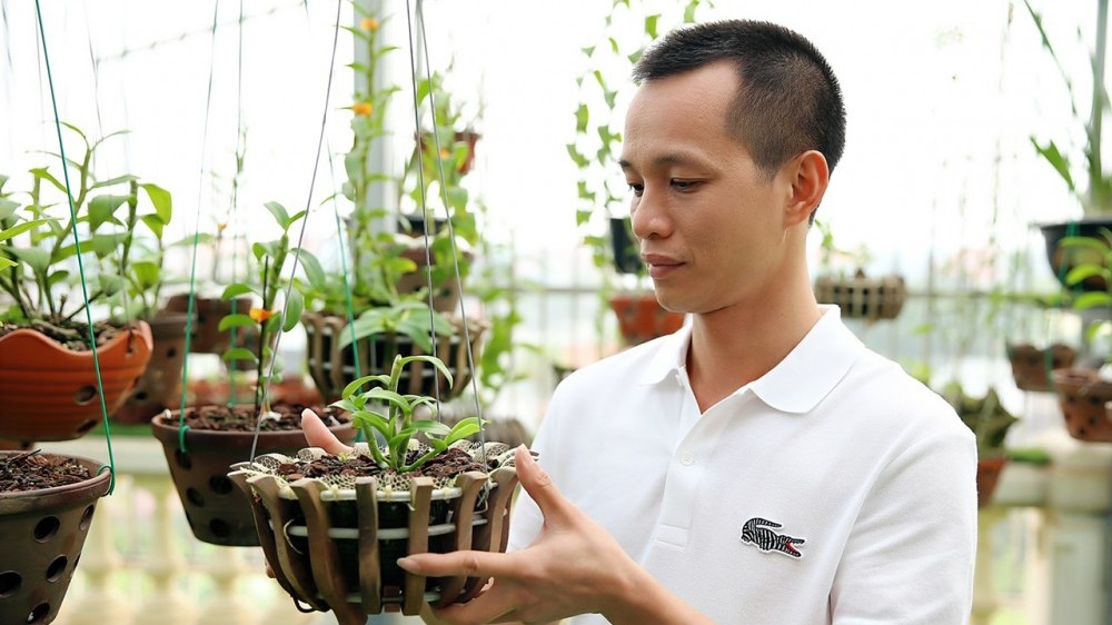 Nguyễn Quang Định: Cơ duyên đặc biệt của ông chủ vườn lan yêu thơ ca