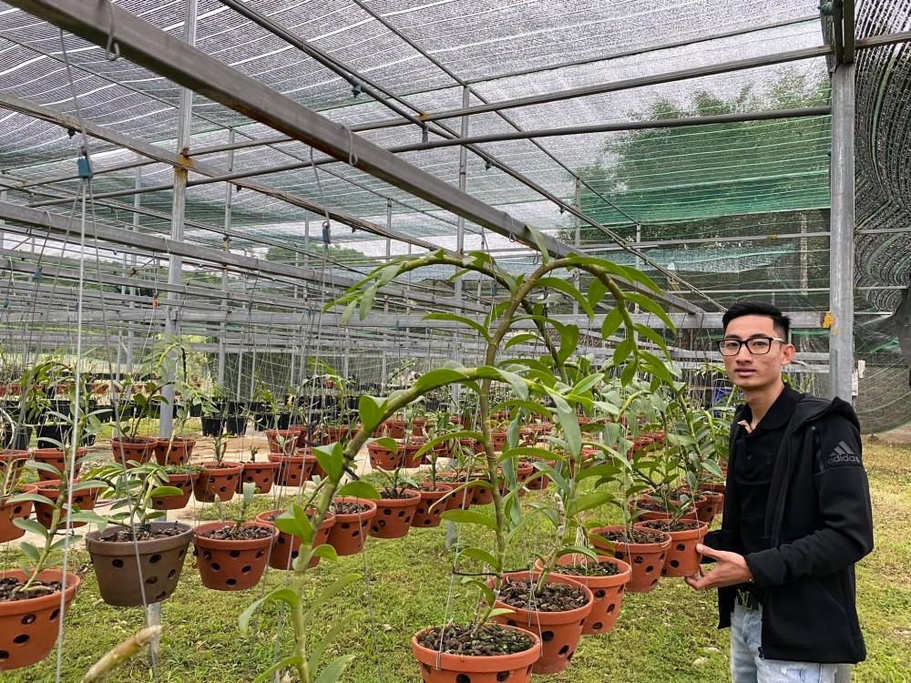 Louis Đức Trung: Lan đột biến khó chăm sóc nên giá thành cao là điều dễ hiểu Louis Đức Trung: Lan đột biến khó chăm sóc nên giá thành cao là điều dễ hiểu