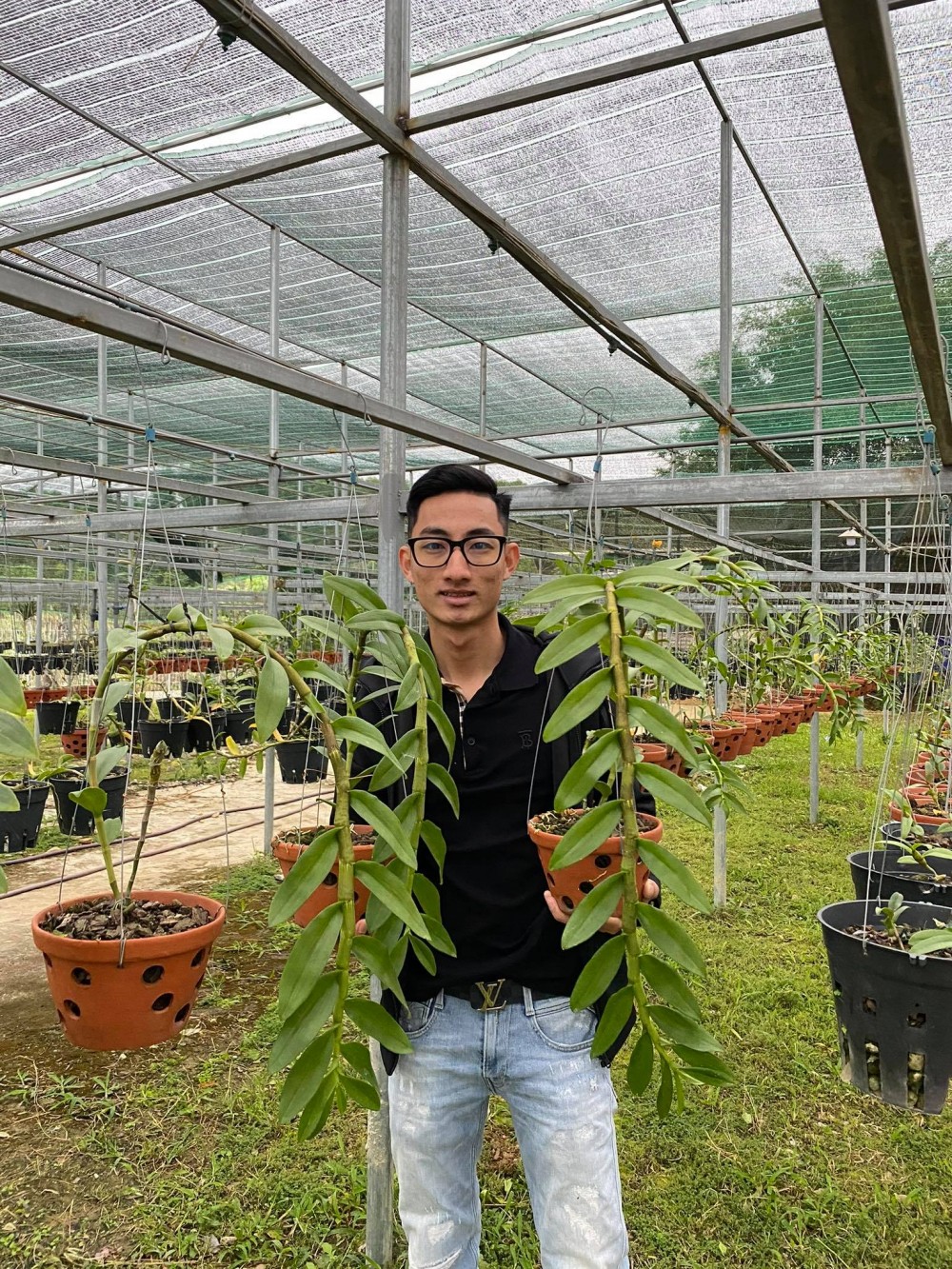 Louis Đức Trung: Lan đột biến khó chăm sóc nên giá thành cao là điều dễ hiểu Louis Đức Trung: Lan đột biến khó chăm sóc nên giá thành cao là điều dễ hiểu