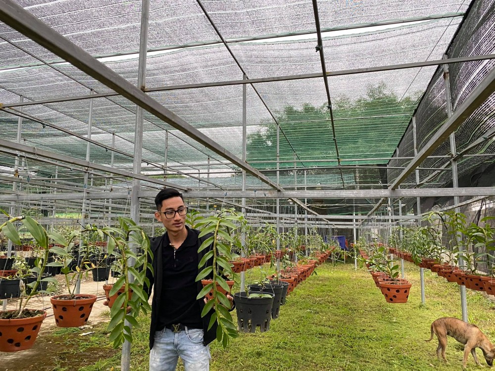 Louis Đức Trung: Lan đột biến khó chăm sóc nên giá thành cao là điều dễ hiểu Louis Đức Trung: Lan đột biến khó chăm sóc nên giá thành cao là điều dễ hiểu