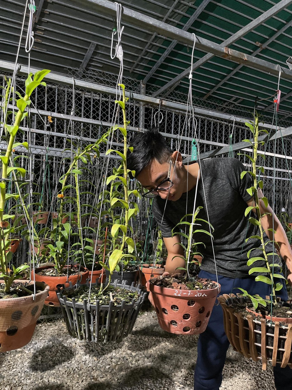 Louis Đức Trung: Lan đột biến khó chăm sóc nên giá thành cao là điều dễ hiểu