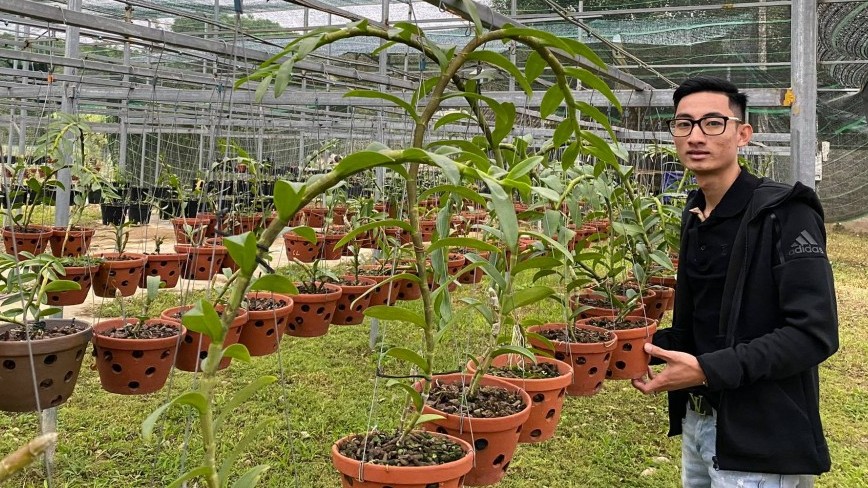 Louis Đức Trung: Lan đột biến khó chăm sóc nên giá thành cao là điều dễ hiểu