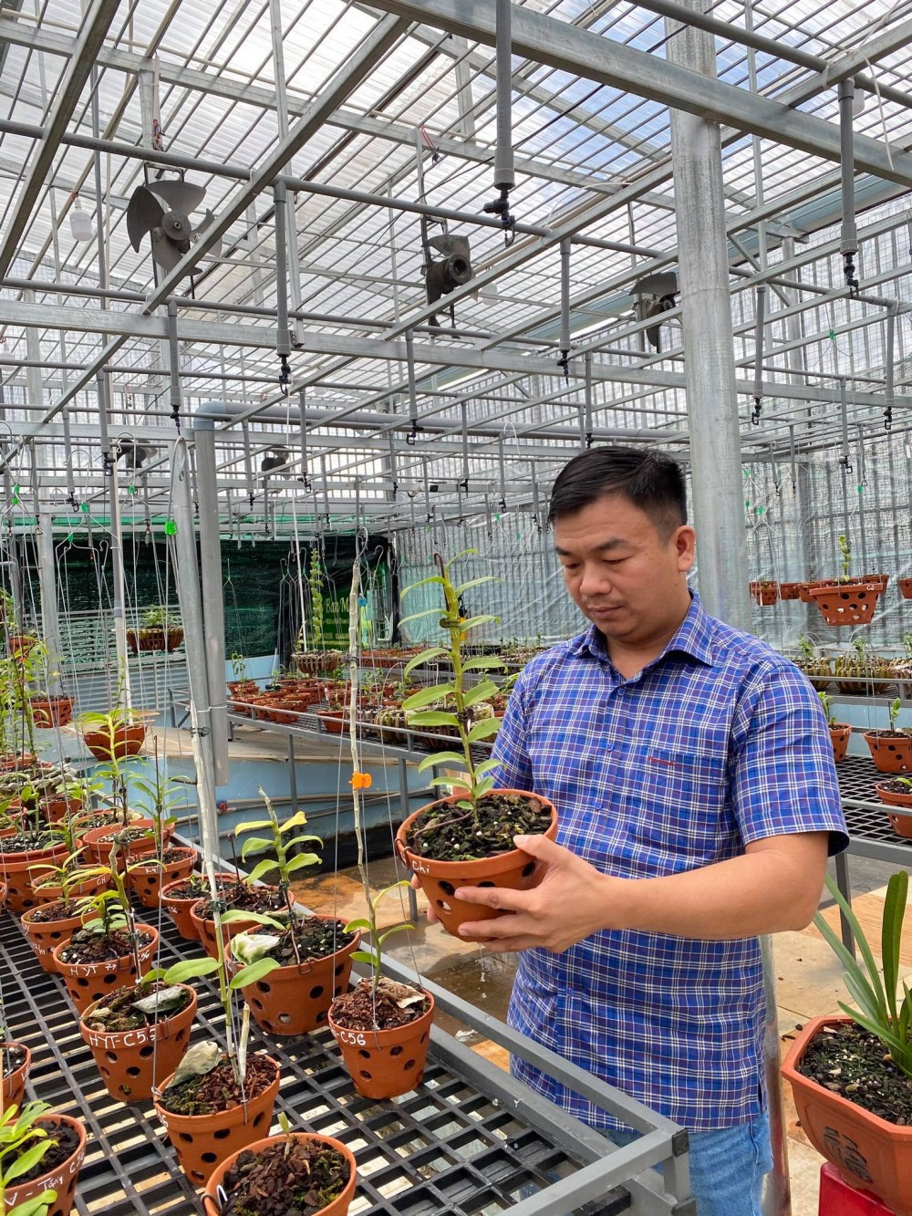 Đô Ban Mê và những lần chi tiền khủng chinh phục lan đột biến Đô Ban Mê và những lần chi tiền khủng chinh phục lan đột biến