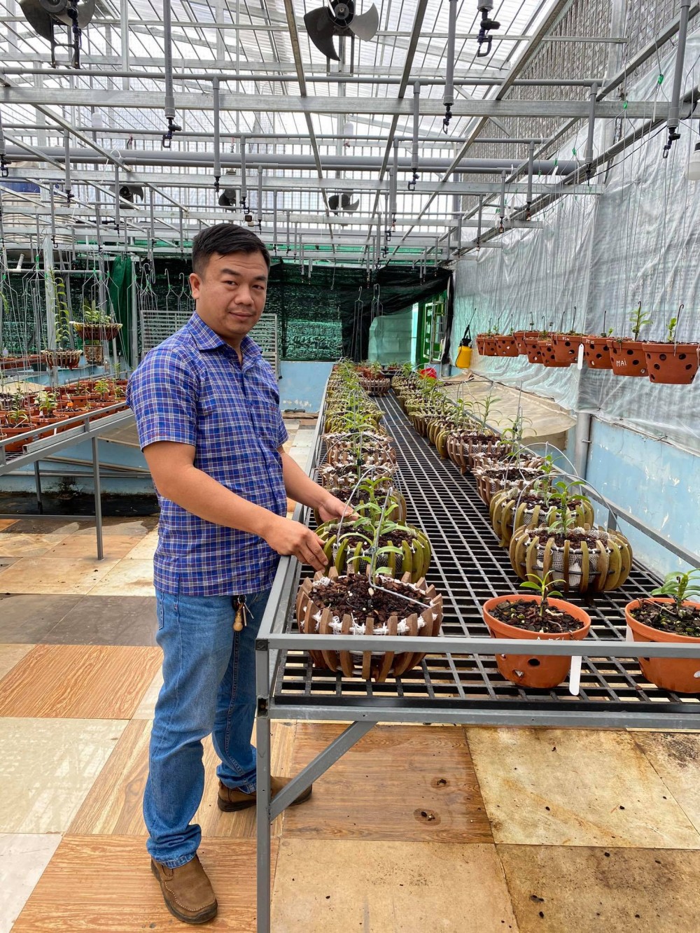 Đô Ban Mê và những lần chi tiền khủng chinh phục lan đột biến Đô Ban Mê và những lần chi tiền khủng chinh phục lan đột biến