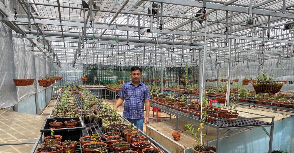 Đô Ban Mê và những lần chi tiền khủng chinh phục lan đột biến Đô Ban Mê và những lần chi tiền khủng chinh phục lan đột biến