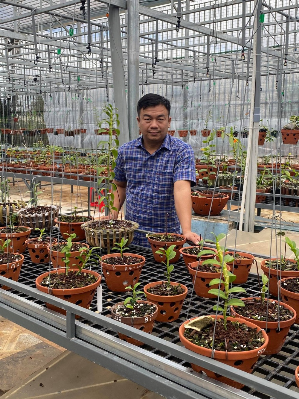 Đô Ban Mê và những lần chi tiền khủng chinh phục lan đột biến Đô Ban Mê và những lần chi tiền khủng chinh phục lan đột biến