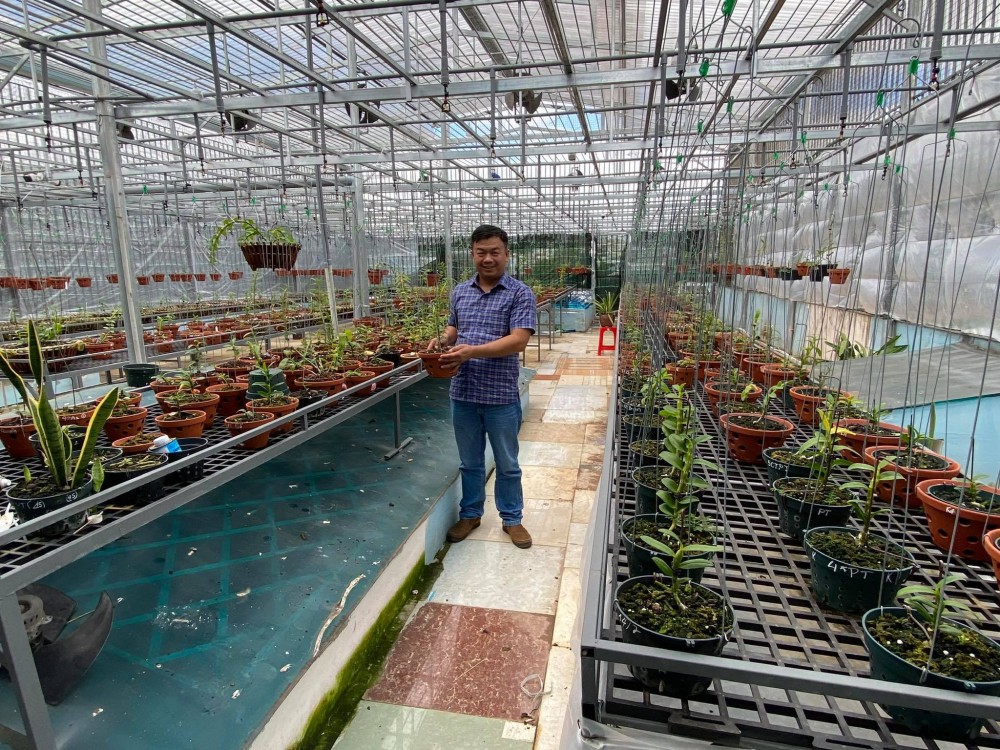 Đô Ban Mê và những lần chi tiền khủng chinh phục lan đột biến Đô Ban Mê và những lần chi tiền khủng chinh phục lan đột biến