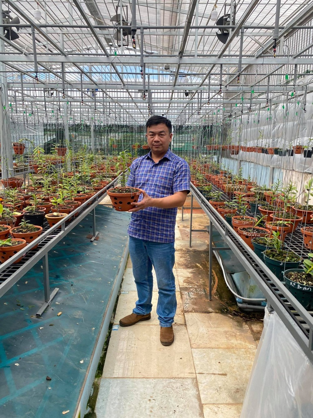 Đô Ban Mê và những lần chi tiền khủng chinh phục lan đột biến