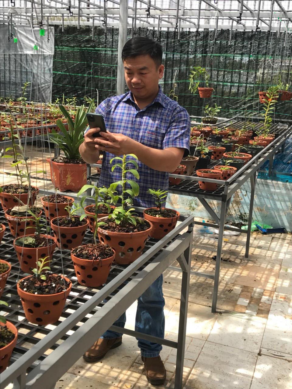 Đô Ban Mê và những lần chi tiền khủng chinh phục lan đột biến