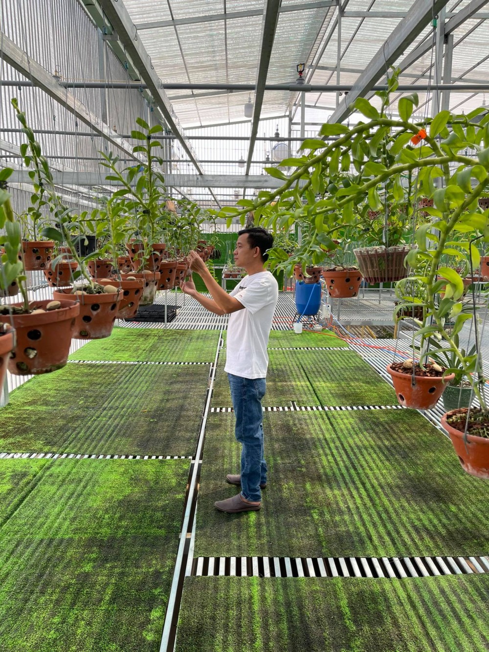 Ông chủ vườn lan 8X Phạm Minh Minh nổi tiếng, được yêu mến đến không ngờ