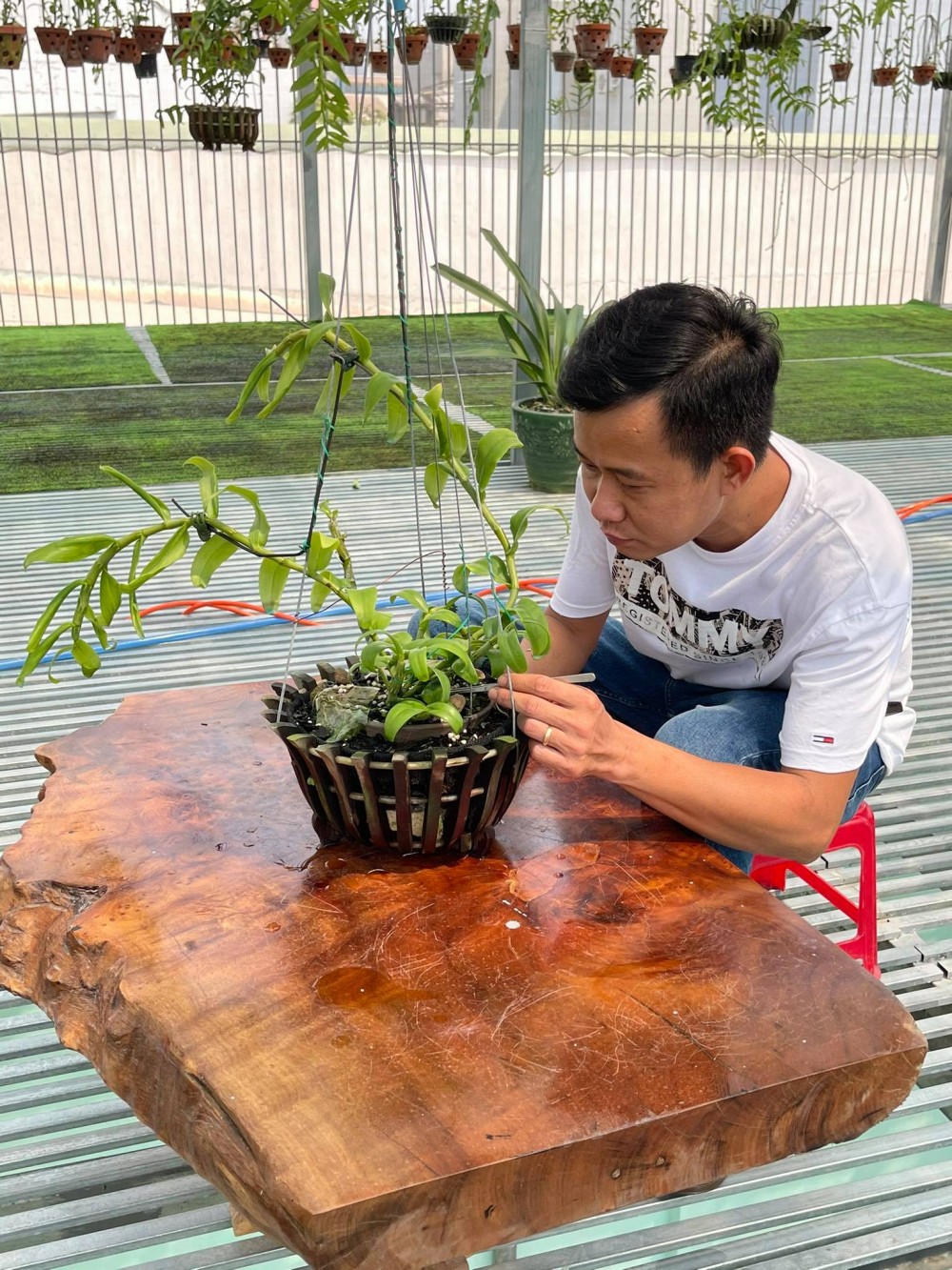 Ông chủ vườn lan 8X Phạm Minh Minh nổi tiếng, được yêu mến đến không ngờ