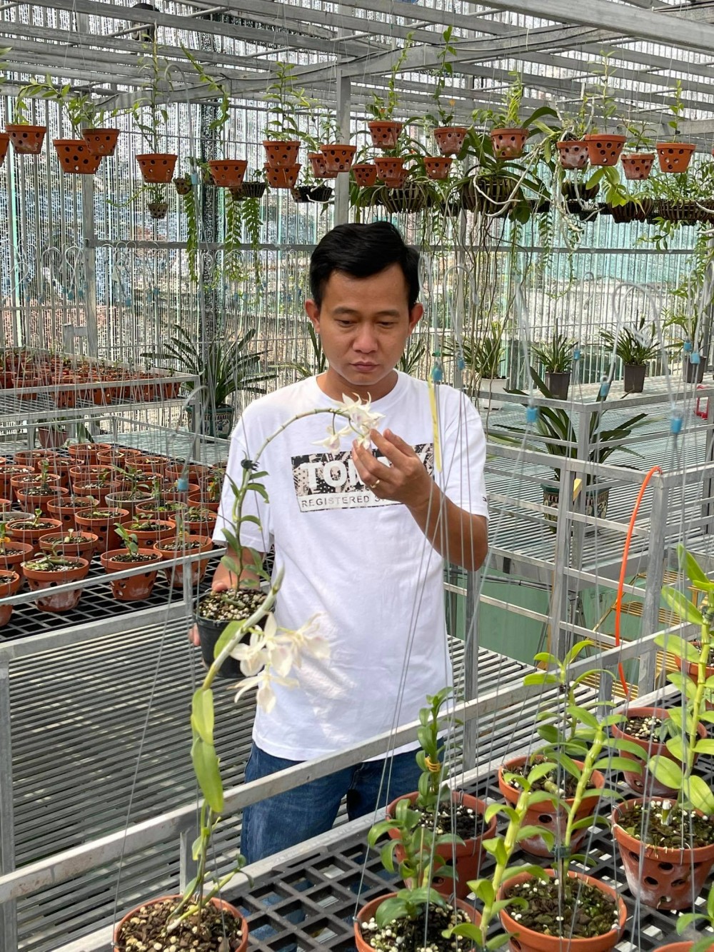 Ông chủ vườn lan 8X Phạm Minh Minh nổi tiếng, được yêu mến đến không ngờ